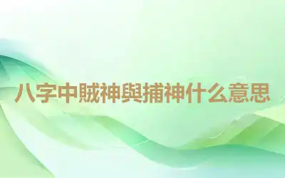 八字中賊神與捕神什么意思